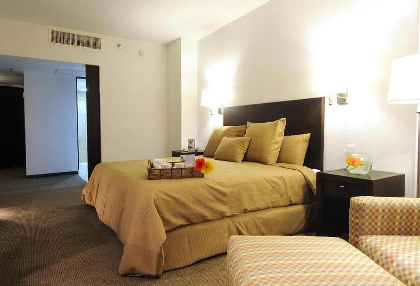 酒店 Mision Torreon