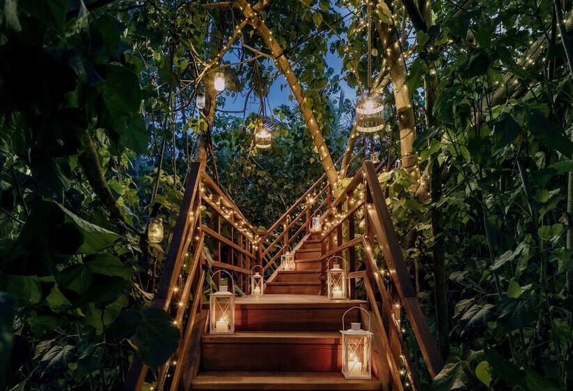 Курорт One&only Reethi Rah