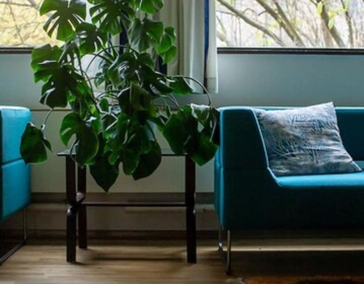 בית מלון כפרי Lindstrøm