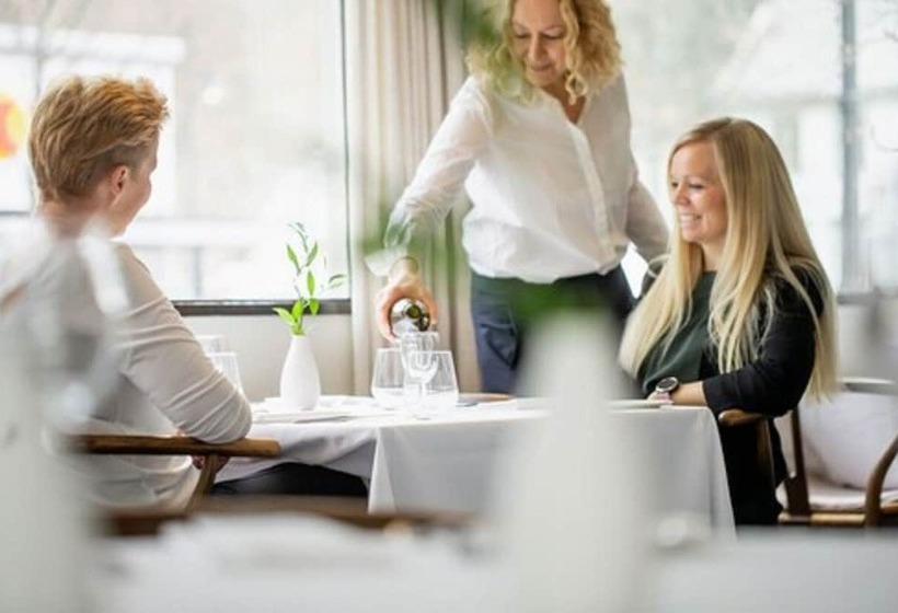 בית מלון כפרי Lindstrøm