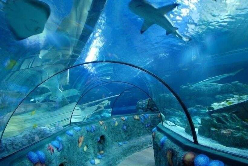 Marriott Hotel The Hague