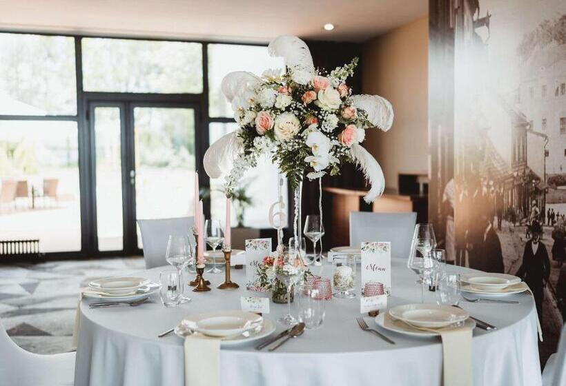 בית מלון כפרי Mercure Cieszyn