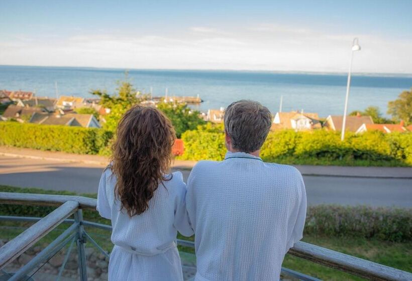 בית מלון כפרי Rusthållargården