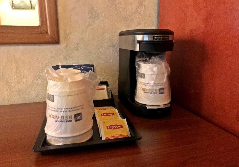 فندق Best Western Adirondack Inn