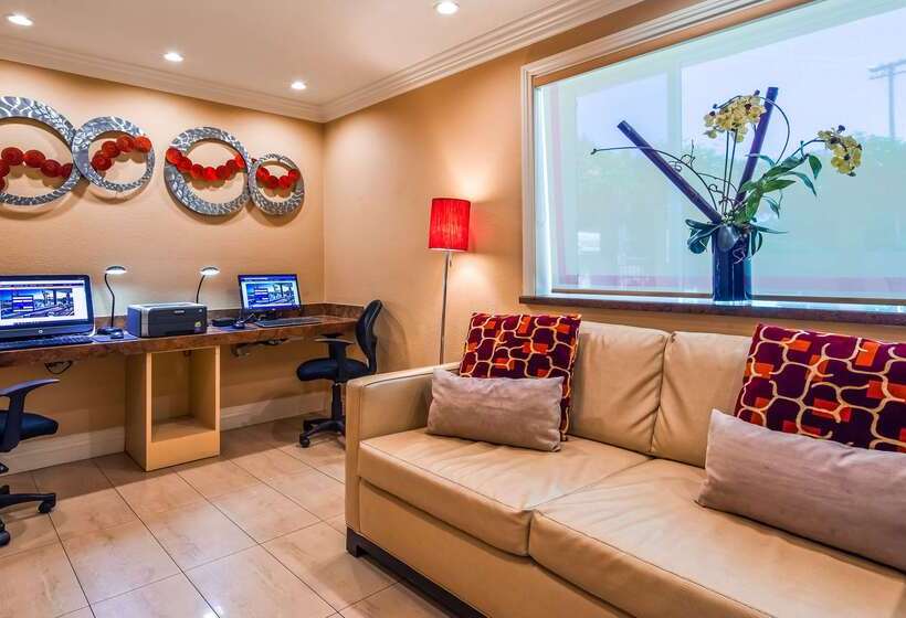 בית מלון כפרי Best Western Plus Airport Plaza