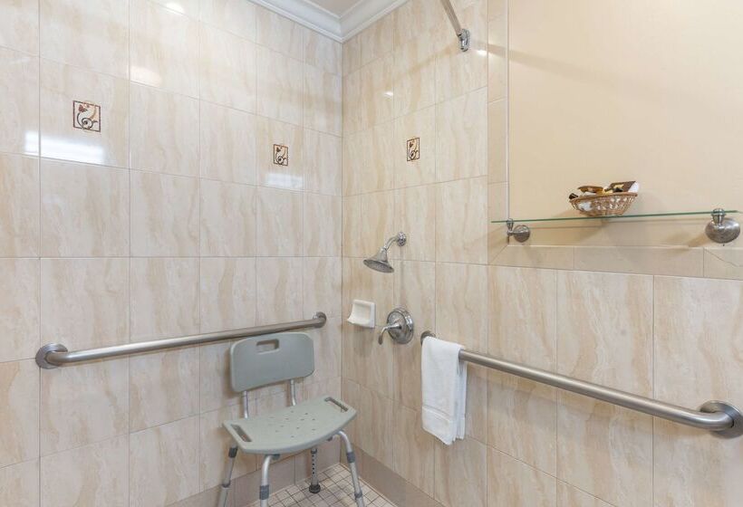 هتل Best Western Plus Airport Plaza