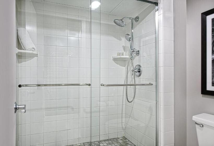 هتل Indigo Dallas Downtown, An Ihg