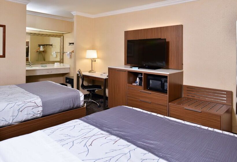 Best Western Airpark Hotel   Los Angeles Lax Airport