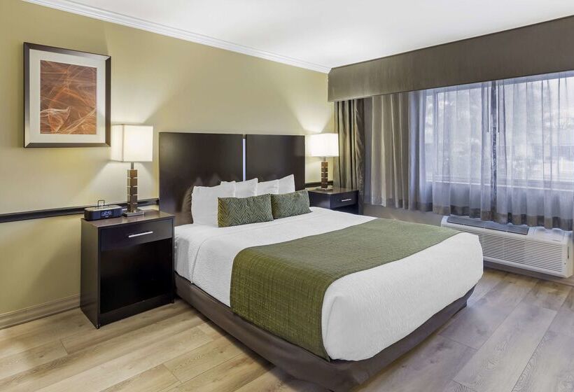 酒店 Best Western Canoga Park Motor Inn