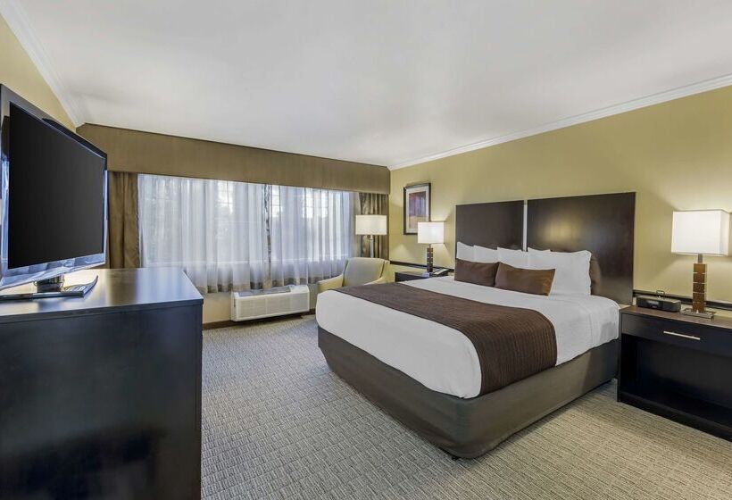酒店 Best Western Canoga Park Motor Inn
