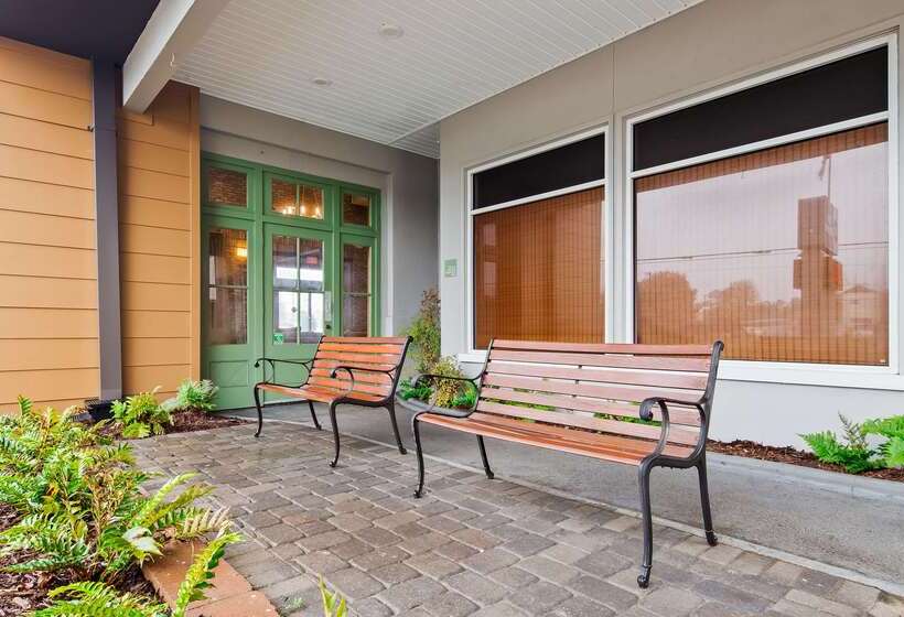 בית מלון כפרי Surestay Plus By Best Western Covington