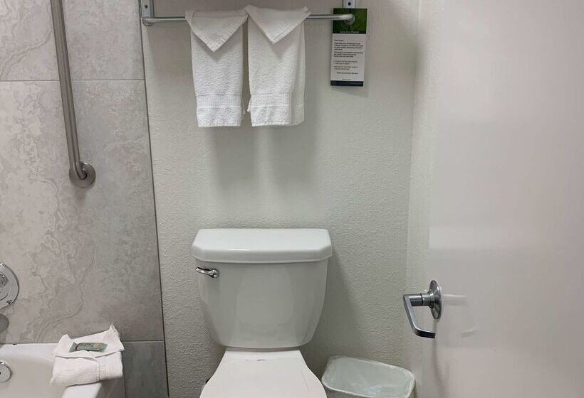 فندق Best Western Desert Oasis