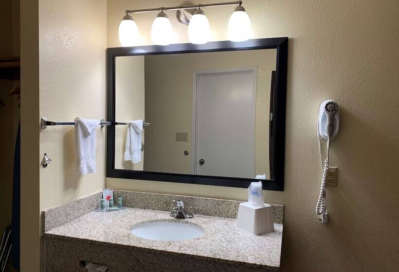 فندق Best Western Desert Oasis