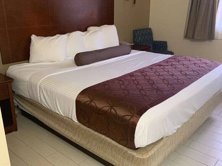 فندق Best Western Desert Oasis