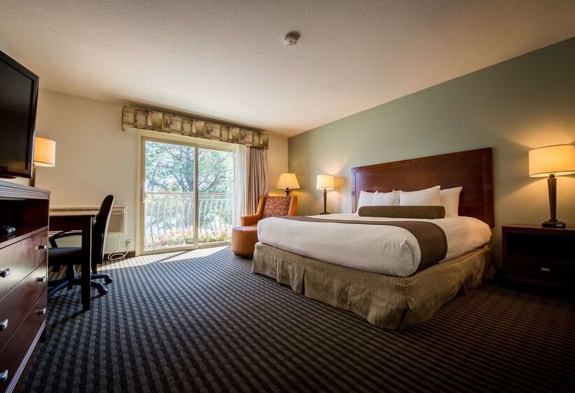בית מלון כפרי Best Western Driftwood Inn