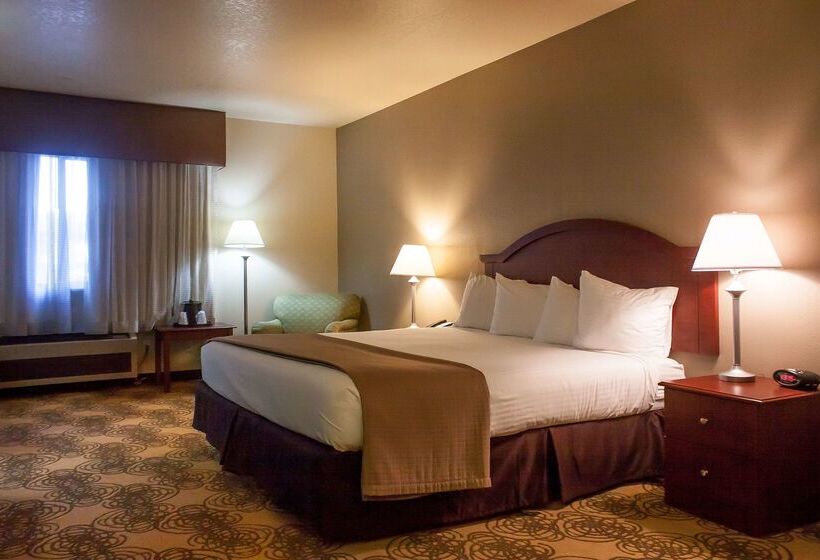 هتل Best Western Elko Inn
