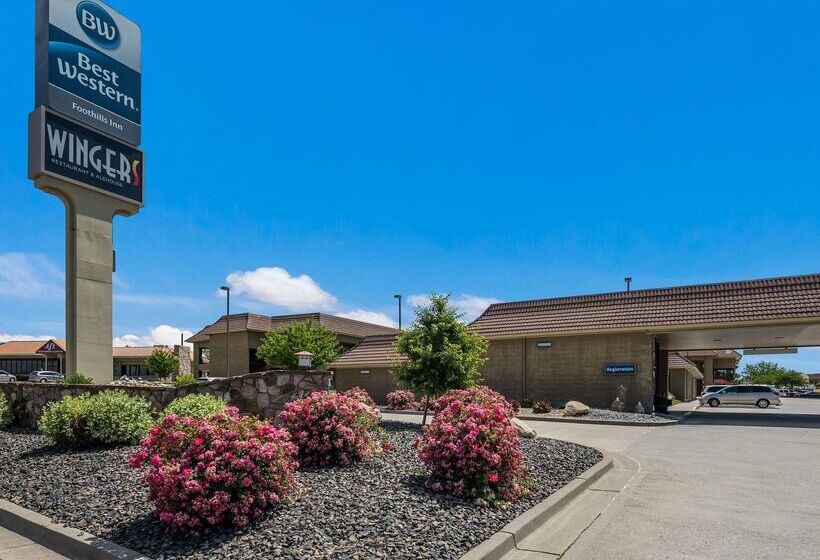 Отель Best Western Foothills Inn