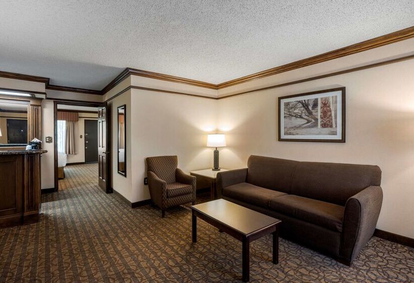 هتل Best Western Inn Of The Ozarks