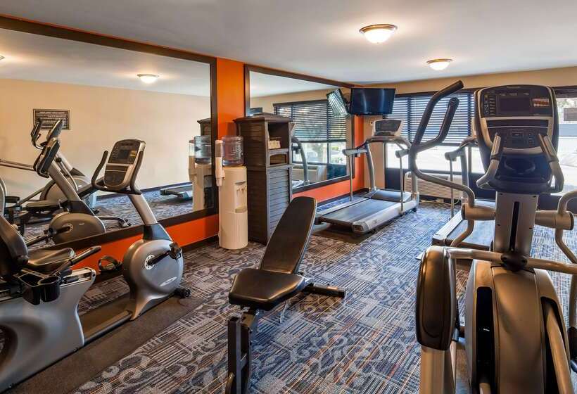 Отель Best Western Newport Inn