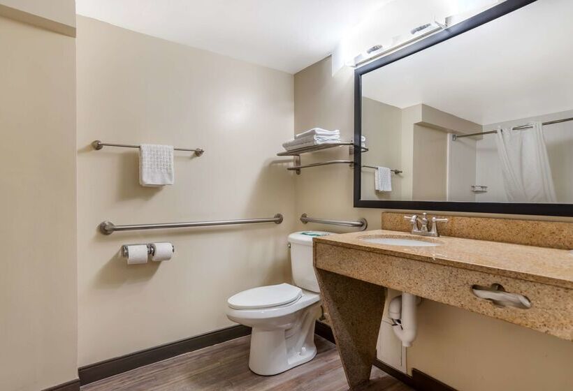 酒店 Best Western Oak Manor