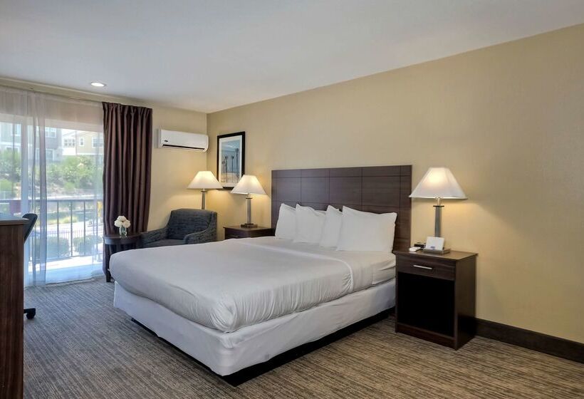 فندق Best Western Oceanside Inn