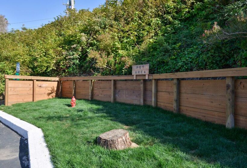 호텔 Best Western Pier Point Inn