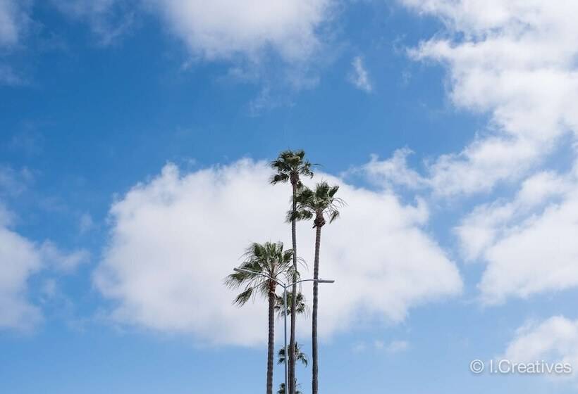 هتل Best Western Plus Bayside Inn