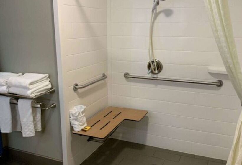 בית מלון כפרי Best Western Plus Denton Inn & Suites