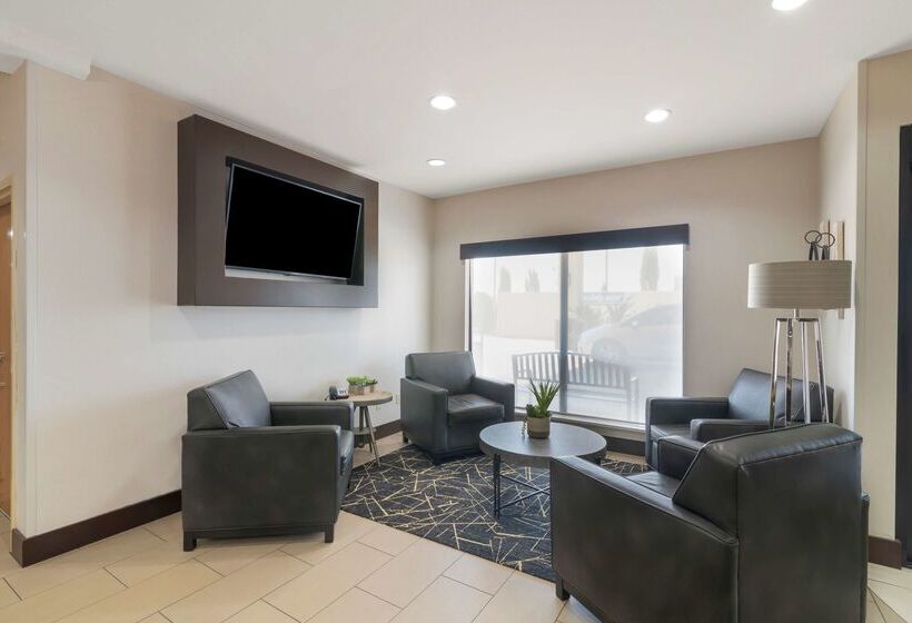 בית מלון כפרי Best Western Plus Denton Inn & Suites