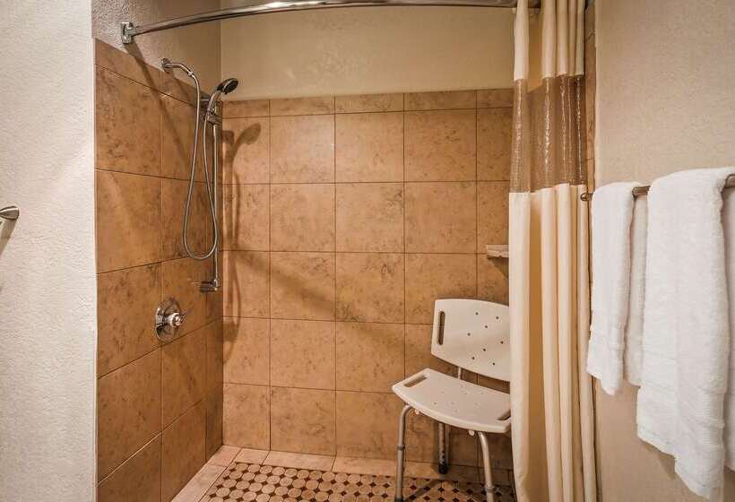 هتل Best Western Plus Executive Inn & Suites