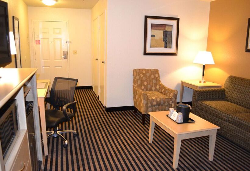 هتل Best Western Plus Executive Inn & Suites