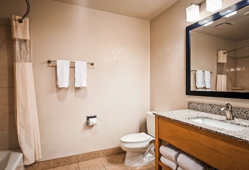 هتل Best Western Plus Executive Inn & Suites