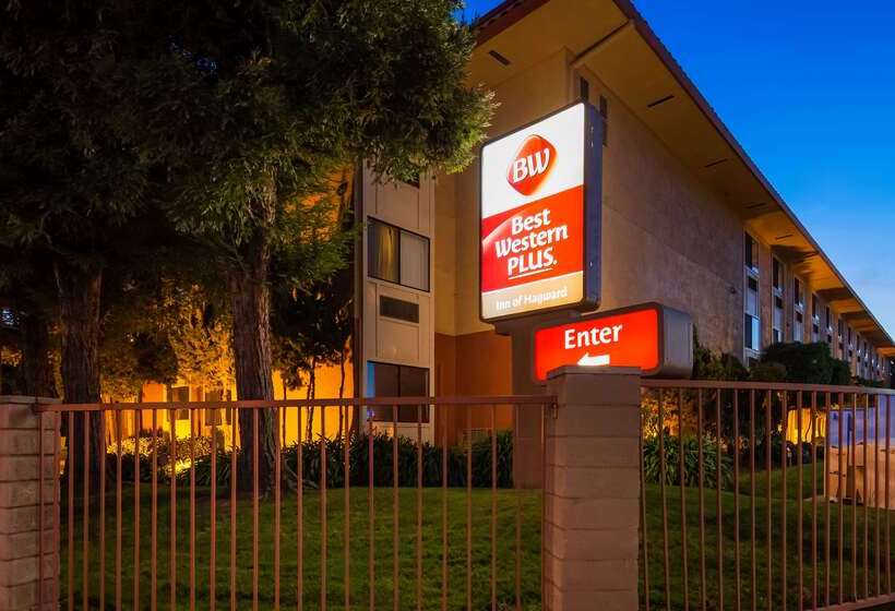 בית מלון כפרי Best Western Plus Inn Of Hayward