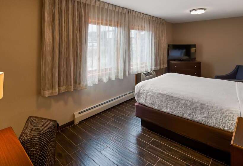 ホテル Best Western Plus Superior Inn