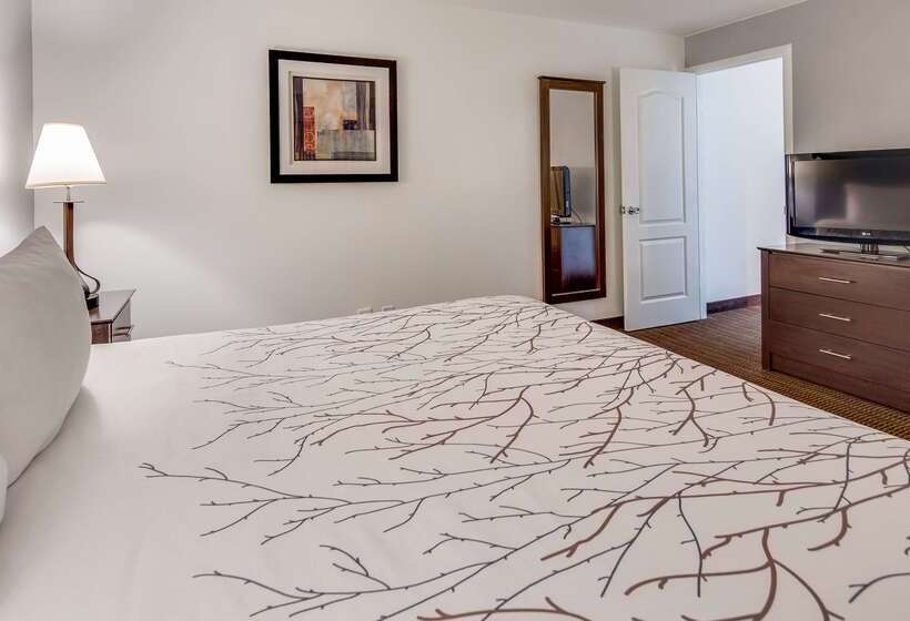 בית מלון כפרי Best Western Prescottonian