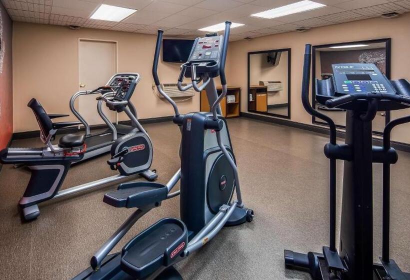 בית מלון כפרי Best Western Sault Ste. Marie