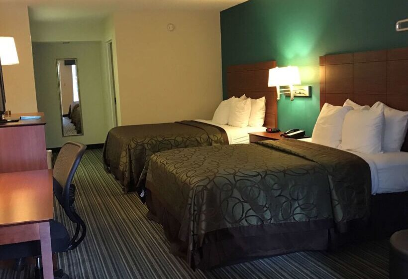 酒店 Best Western Tallahasseedowntown Inn And Suites