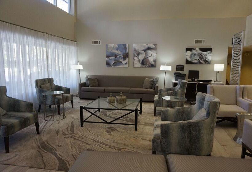酒店 Best Western Tallahasseedowntown Inn And Suites