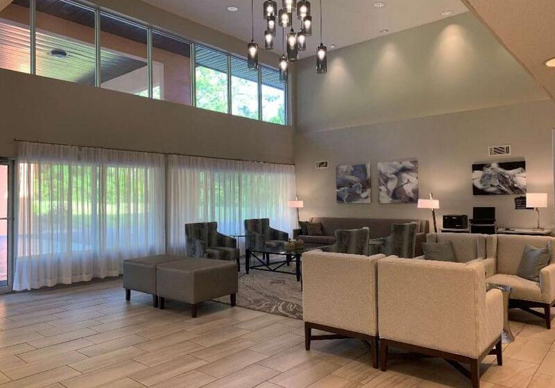 酒店 Best Western Tallahasseedowntown Inn And Suites