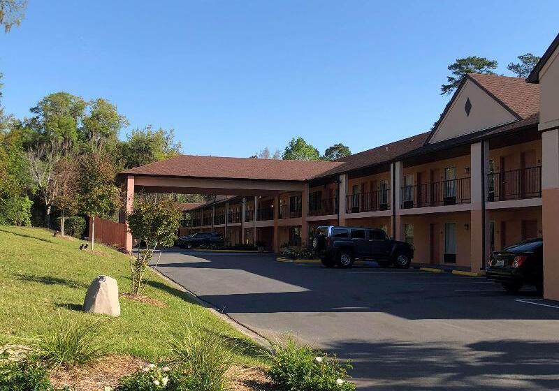 酒店 Best Western Tallahasseedowntown Inn And Suites