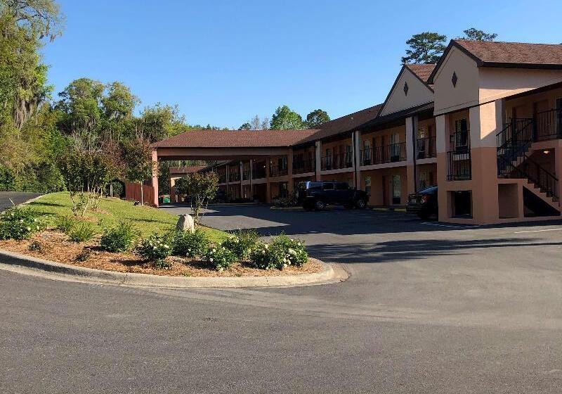酒店 Best Western Tallahasseedowntown Inn And Suites