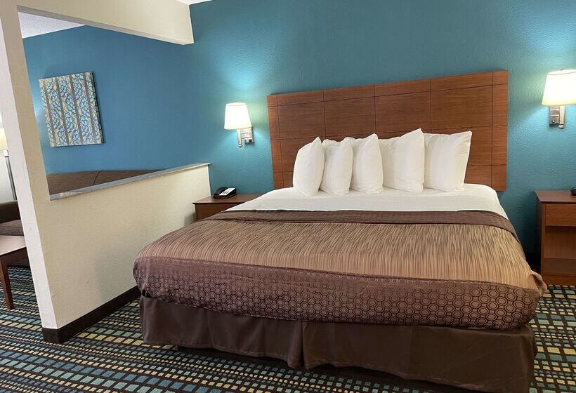 酒店 Best Western Tallahasseedowntown Inn And Suites