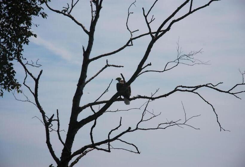 호텔 Cliff Dweller On Lake Superior