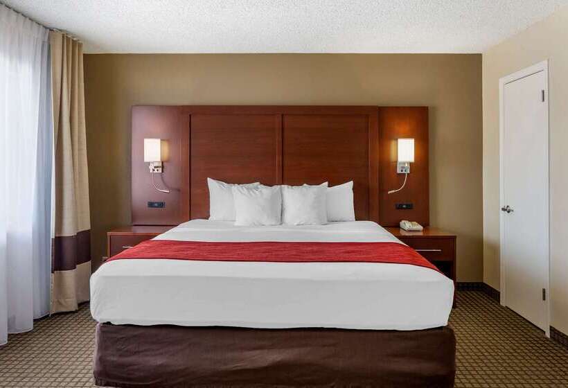 酒店 Comfort Inn & Suites Rochelle   Dekalb