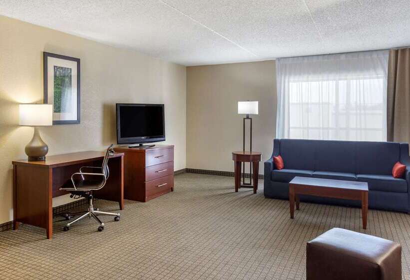 酒店 Comfort Inn & Suites Rochelle   Dekalb