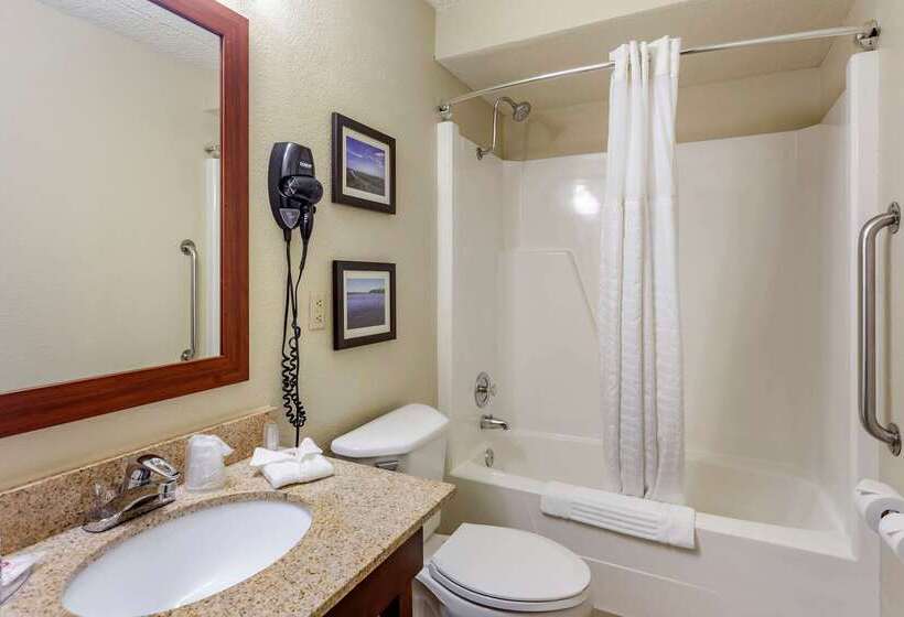酒店 Comfort Inn & Suites Rochelle   Dekalb