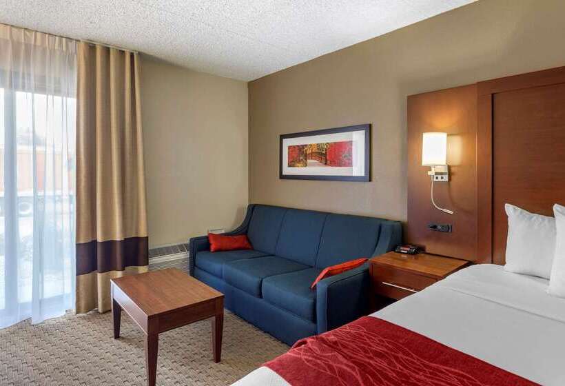 酒店 Comfort Inn & Suites Rochelle   Dekalb