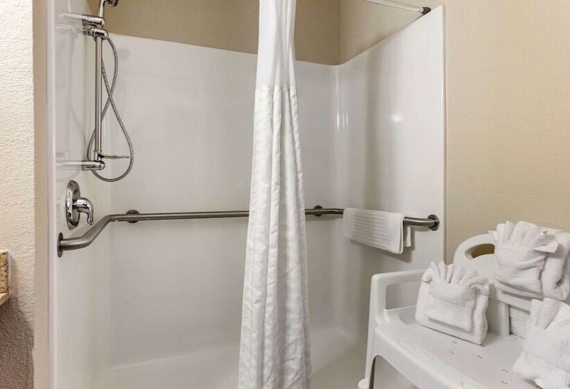酒店 Comfort Inn & Suites Rochelle   Dekalb