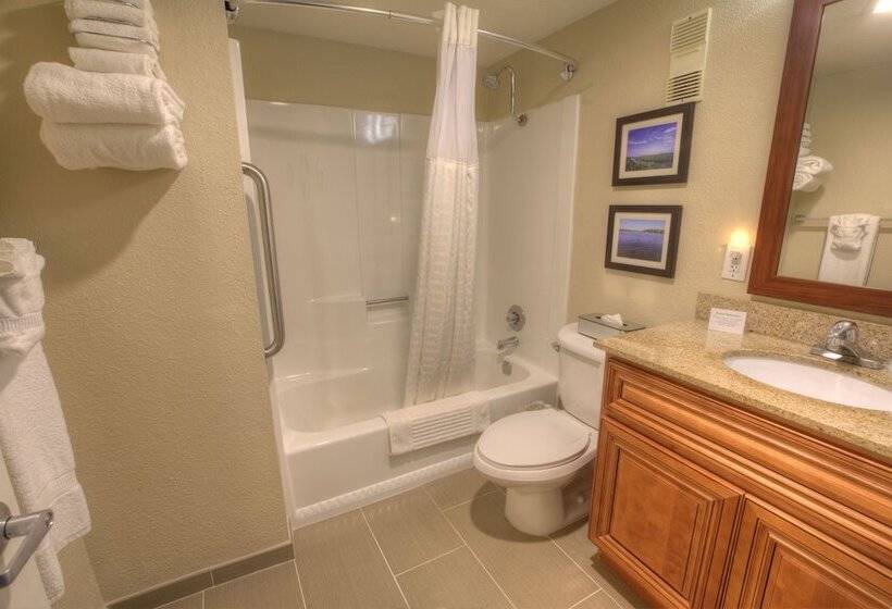 酒店 Comfort Inn & Suites Rochelle   Dekalb