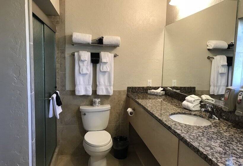 בית מלון כפרי Dinosaur Inn & Suites